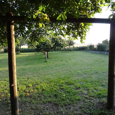 Ferienwohnung Nitschke Zum Nusshof Ahrensfelde Exterior foto